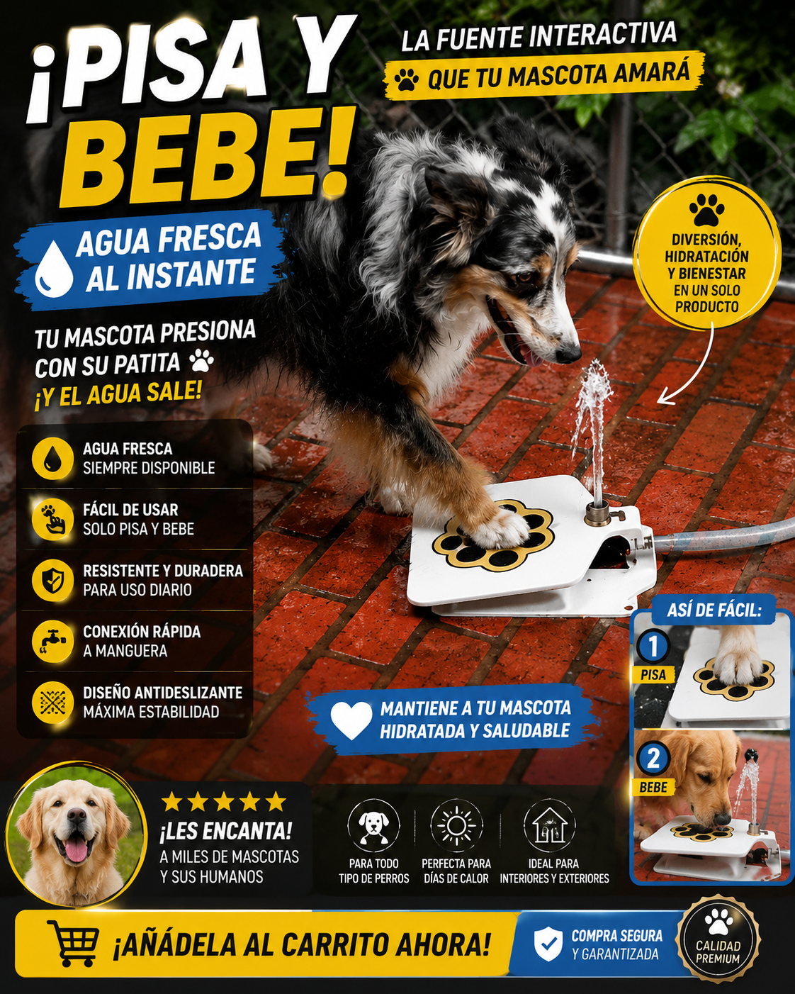 Fuente de agua 💧interactiva para perros