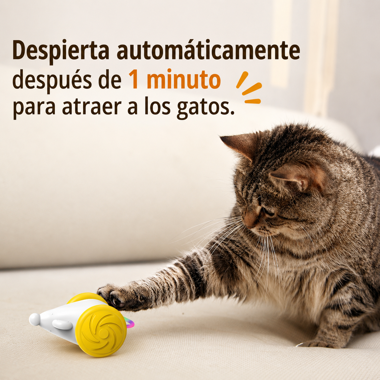 Juguete Interactivo para gatos 😻