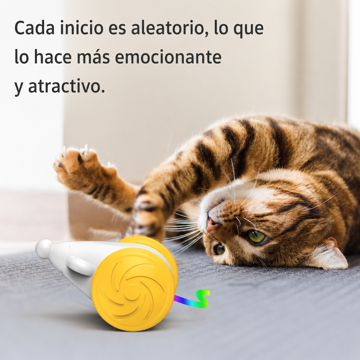 Juguete Interactivo para gatos 😻