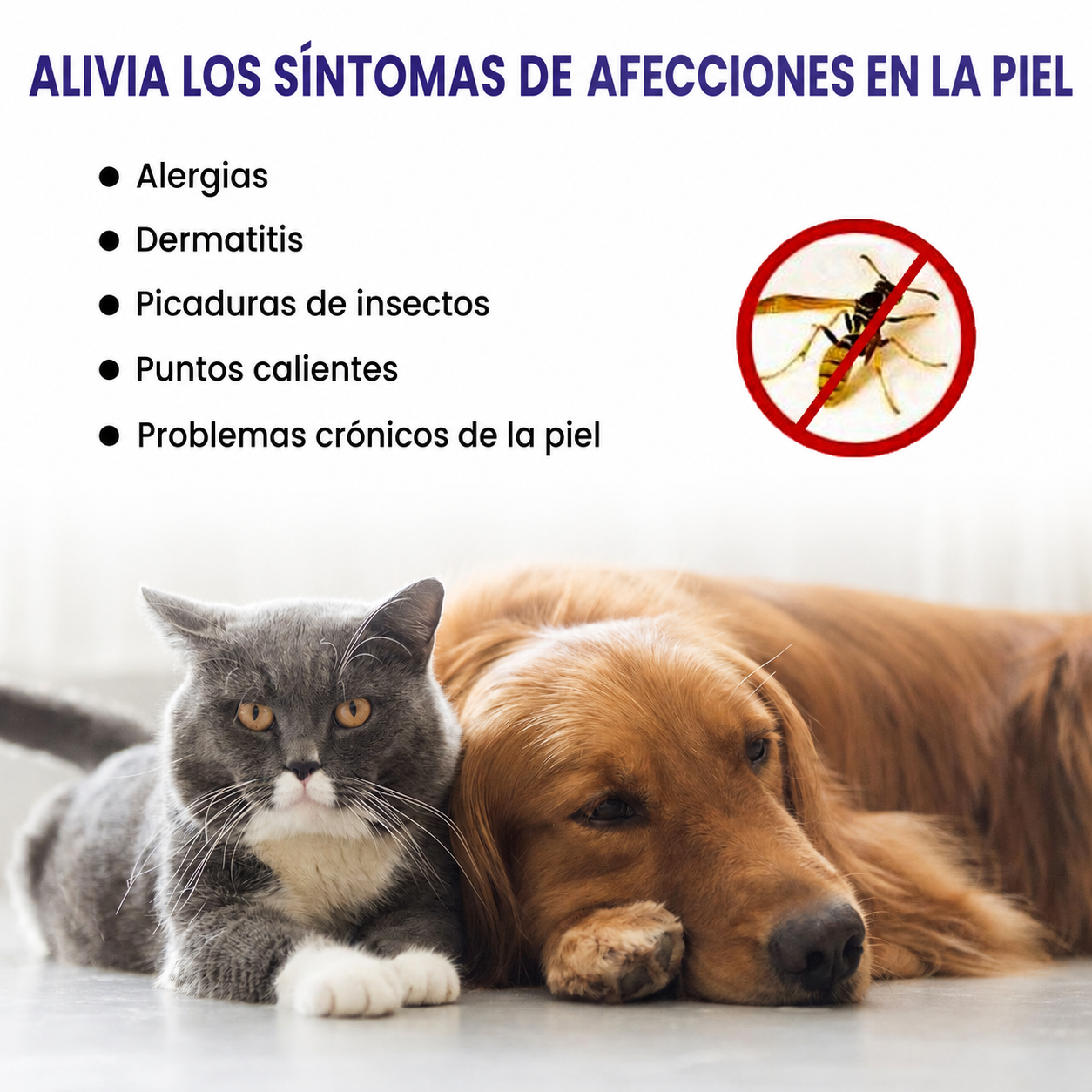 Spray antipicazón para mascotas que limpia y calma la piel 🐶🐱