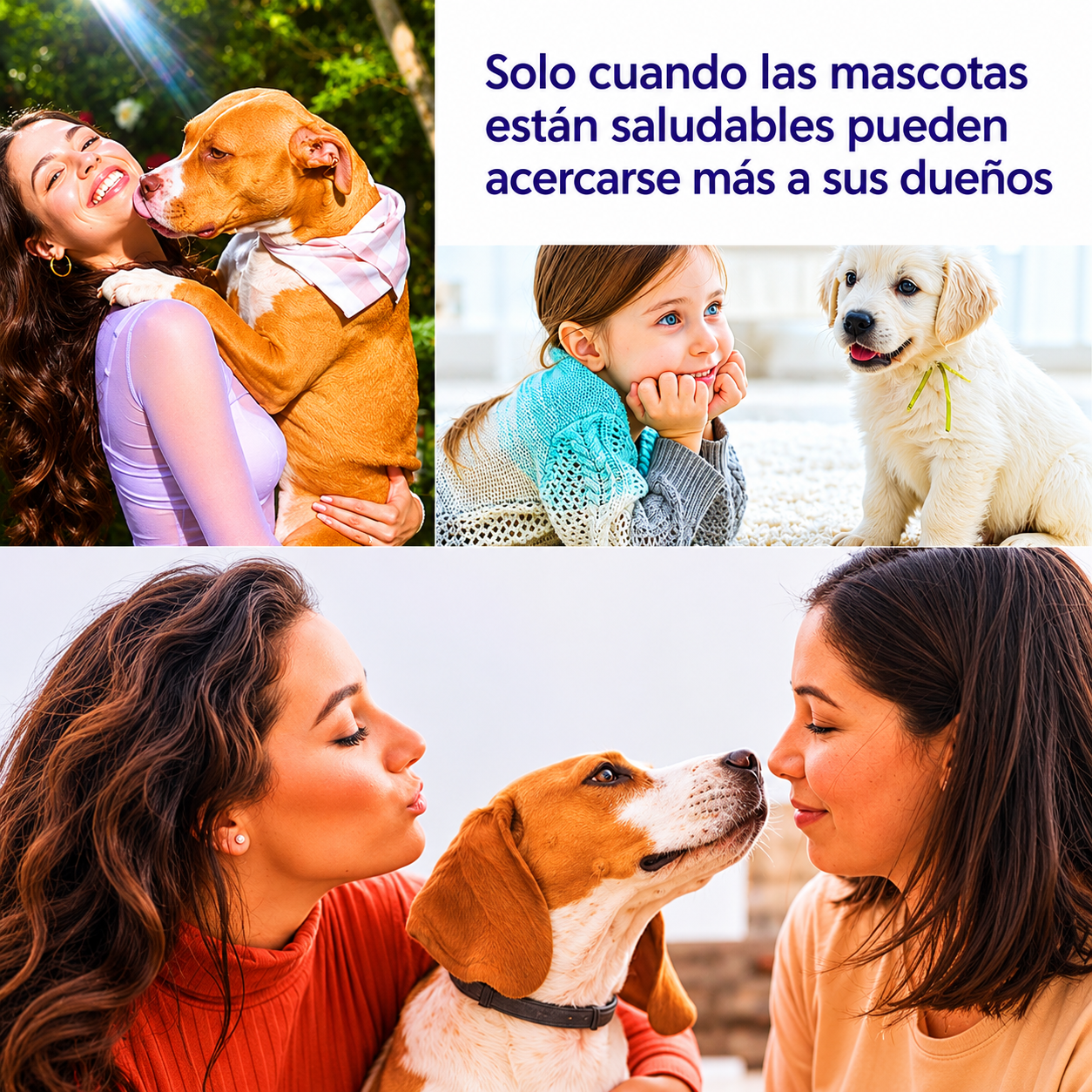 Spray antipicazón para mascotas que limpia y calma la piel 🐶🐱