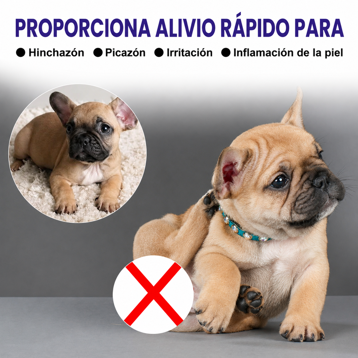 Spray antipicazón para mascotas que limpia y calma la piel 🐶🐱