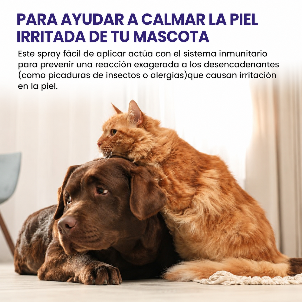 Spray antipicazón para mascotas que limpia y calma la piel 🐶🐱