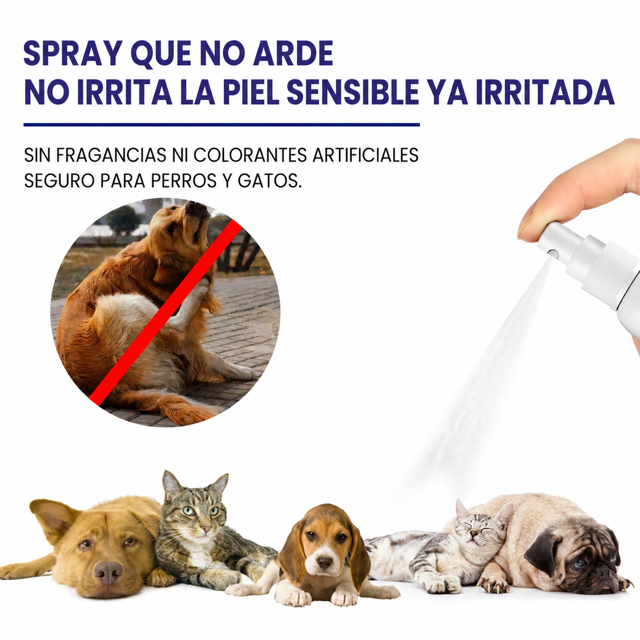 Spray antipicazón para mascotas que limpia y calma la piel 🐶🐱