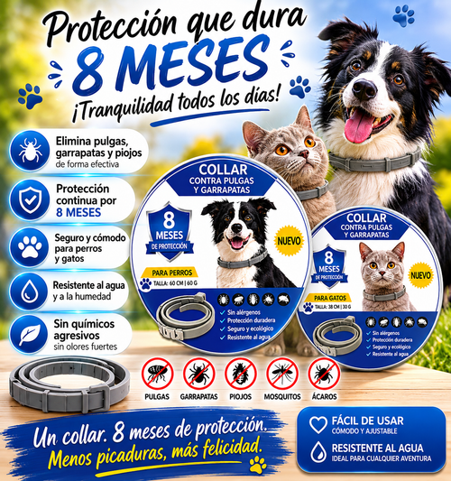 Collar desparasitante 🐾
