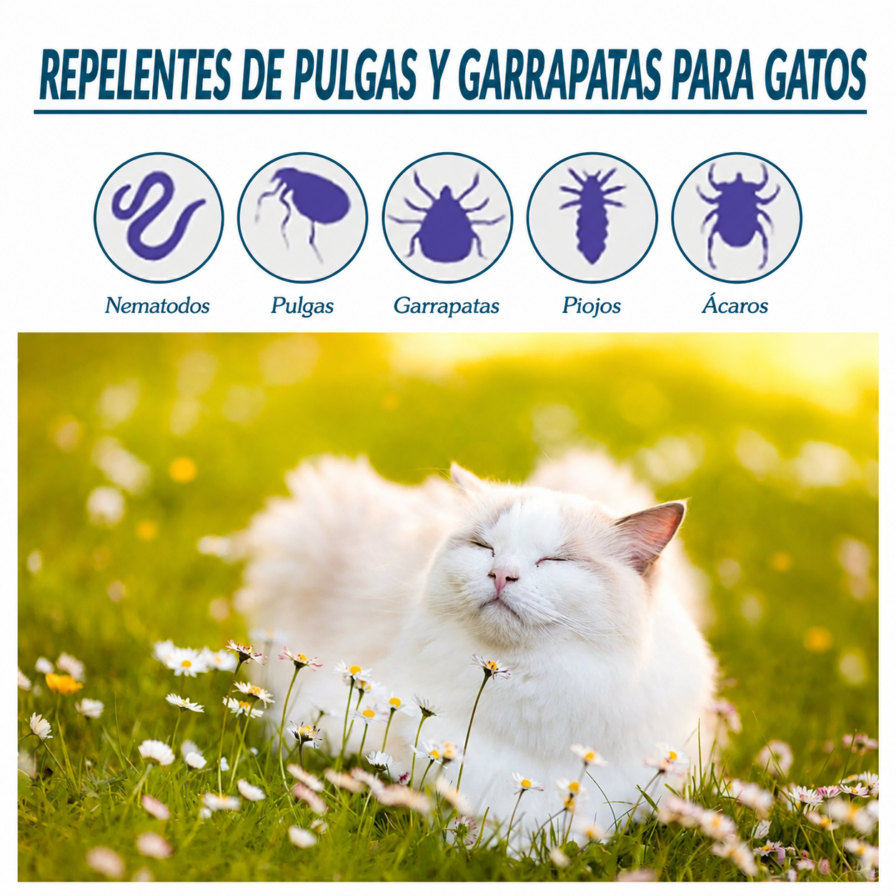 Agente antipulgas y antigarrapatas para gatos🐱