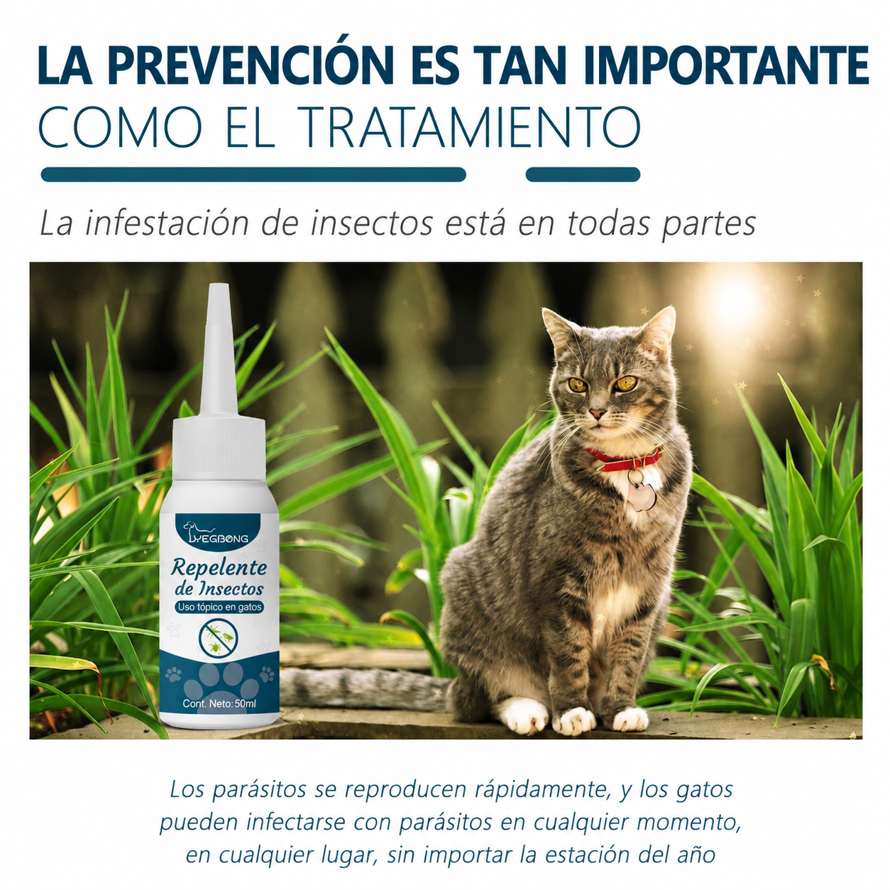 Agente antipulgas y antigarrapatas para gatos🐱