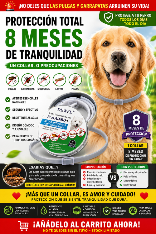 Collar antipulgas y garrapatas de primera calidad 🐶