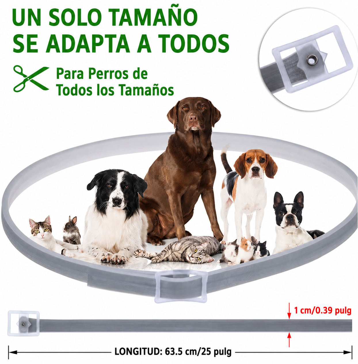 Collar antipulgas y garrapatas de primera calidad 🐶
