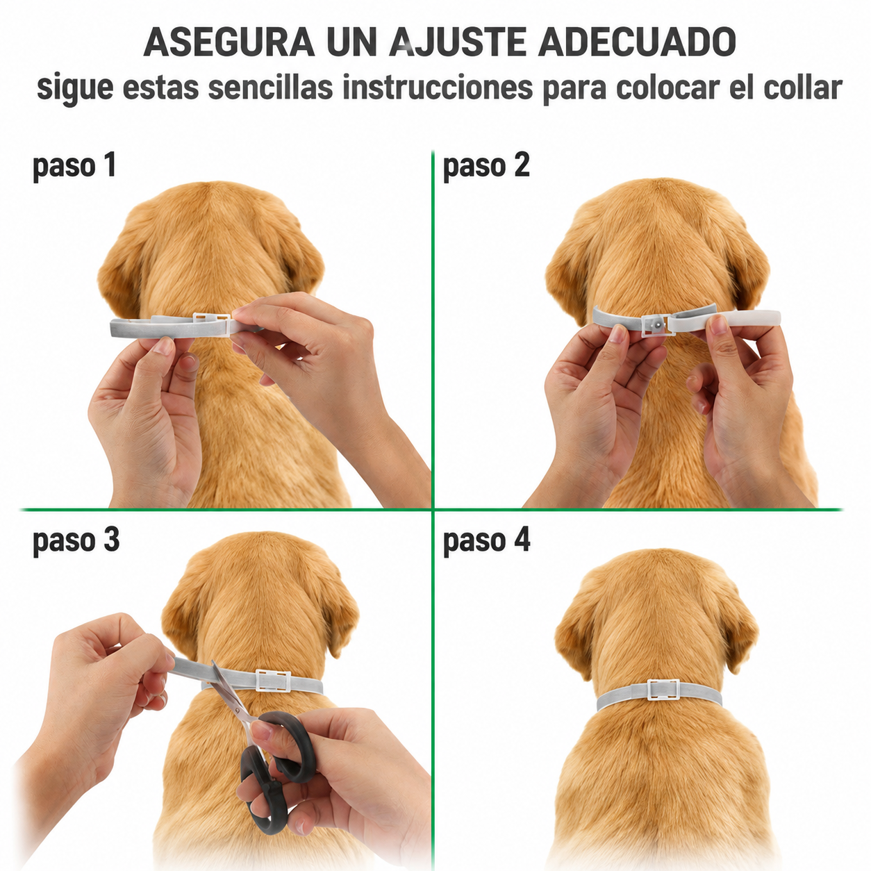 Collar antipulgas y garrapatas de primera calidad 🐶